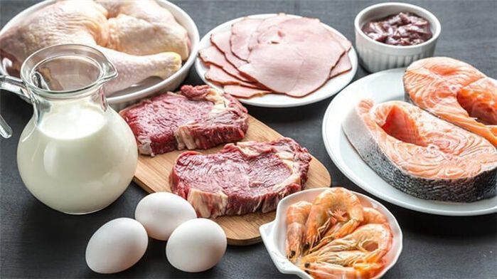 Allowed foods in a protein diet